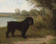 Jacques-Laurent Agasse A black water dog with a stick by a lake Sweden oil painting artist
